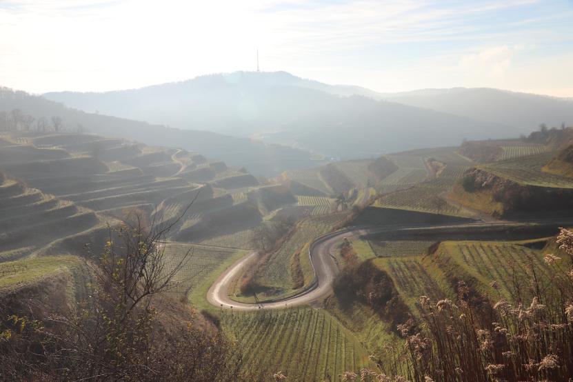 2026-01-28-Kaiserstuhl