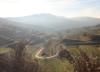 2026-01-28-Kaiserstuhl