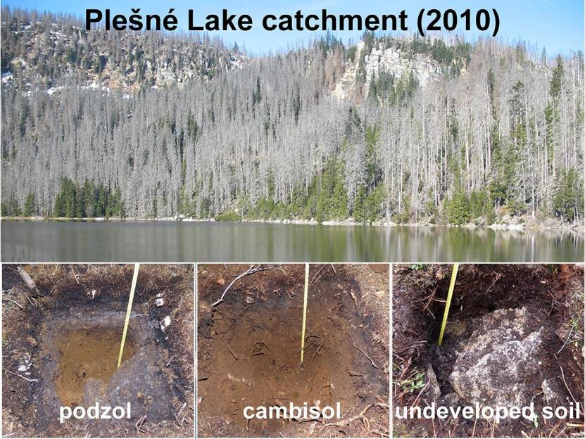 Plešné jezero