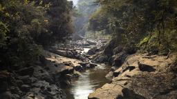 Geba river valley, Oromia, western Ethiopia