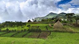 Traditional houses of the Gamo Highlands, southern Ethiopia