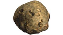 Fotogrammetrický 3D model ostnokožce rodu Pyrocystites