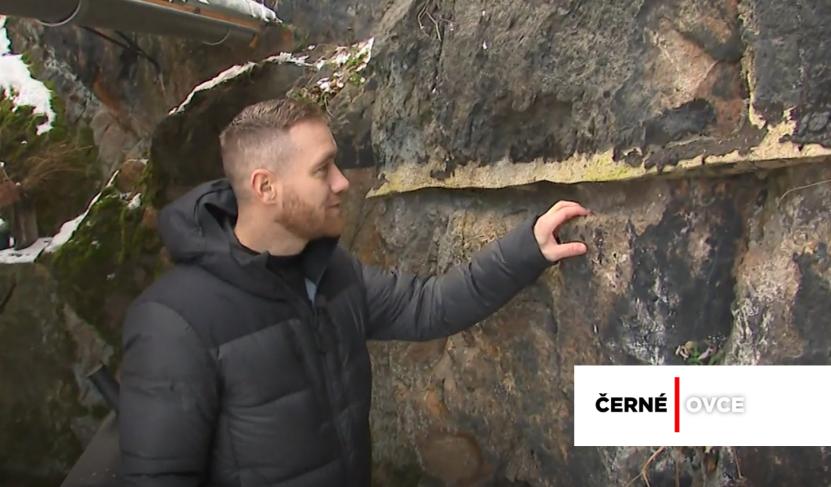 2026-02-dostalik-cerne-ovce