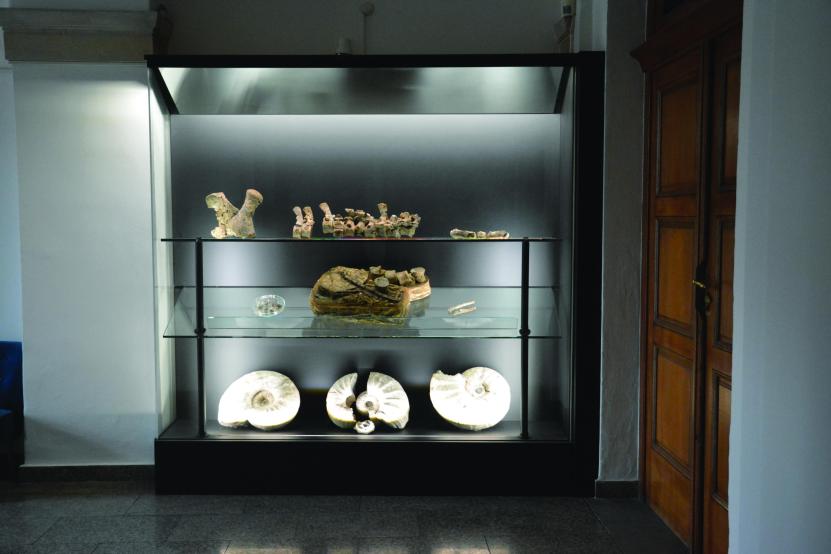 Vitrína s fosilií Plesiosaurida ve vstupní chodbě sídla ČGS v bývalém ústavu slepců Praze na Klárově.