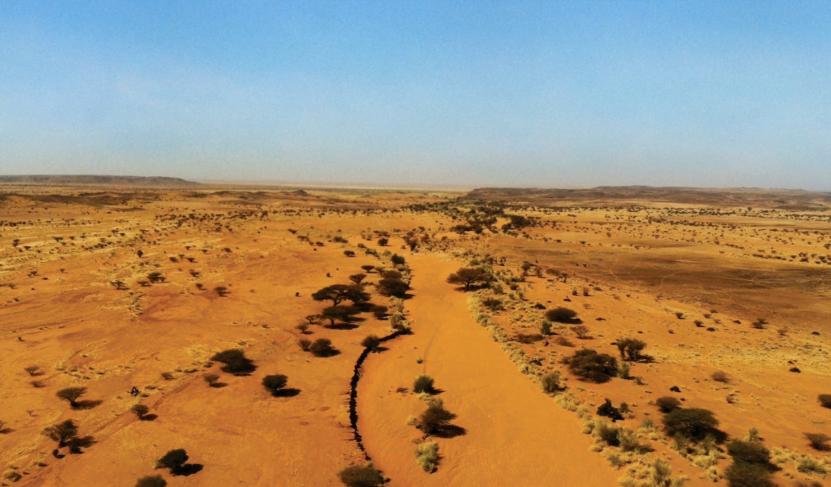 Sahel