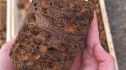 2025-11-vzorek-vrtna-jadra