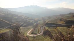 2026-01-28-Kaiserstuhl