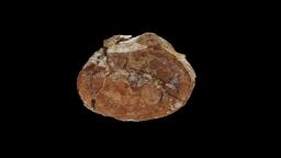 Photogrammetric 3D model of a plesiosaurid caudal vertebra