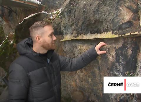 2026-02-dostalik-cerne-ovce