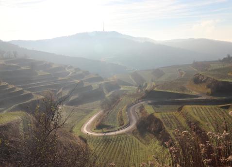 2026-01-28-Kaiserstuhl